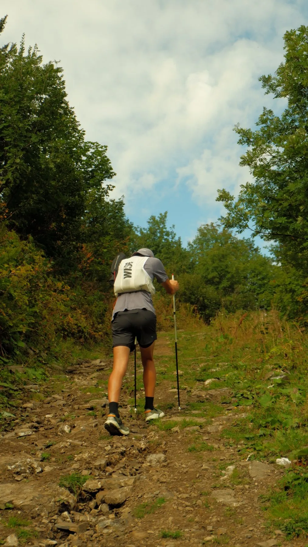 Nicolas Goullet de Rugy de dos dans une montée raide en sous-bois, bâtons Leki en main